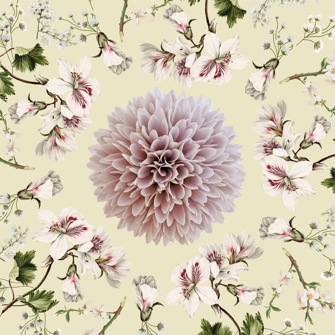 Blush Garden