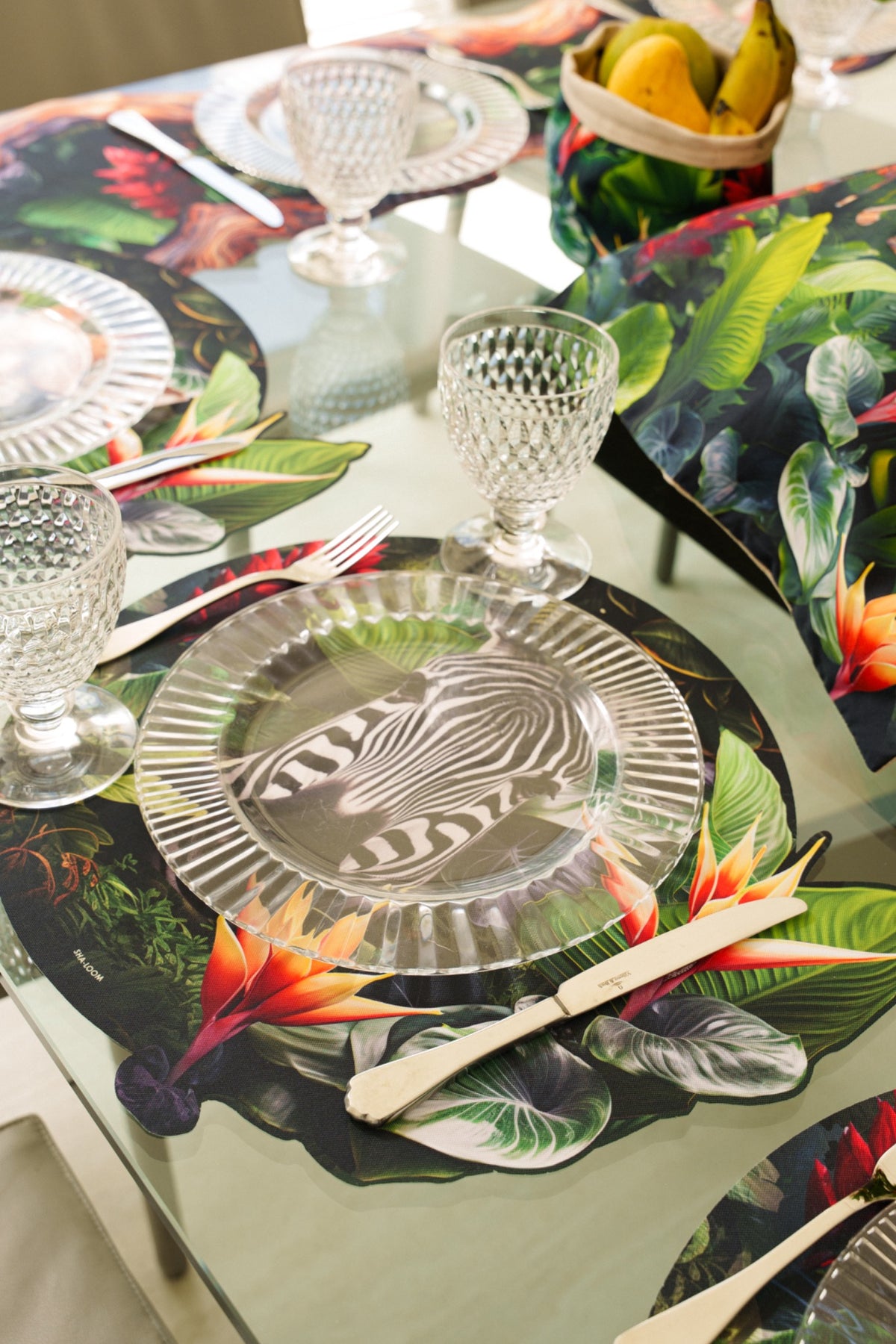 Placemats Set of 6 Wild Tropics