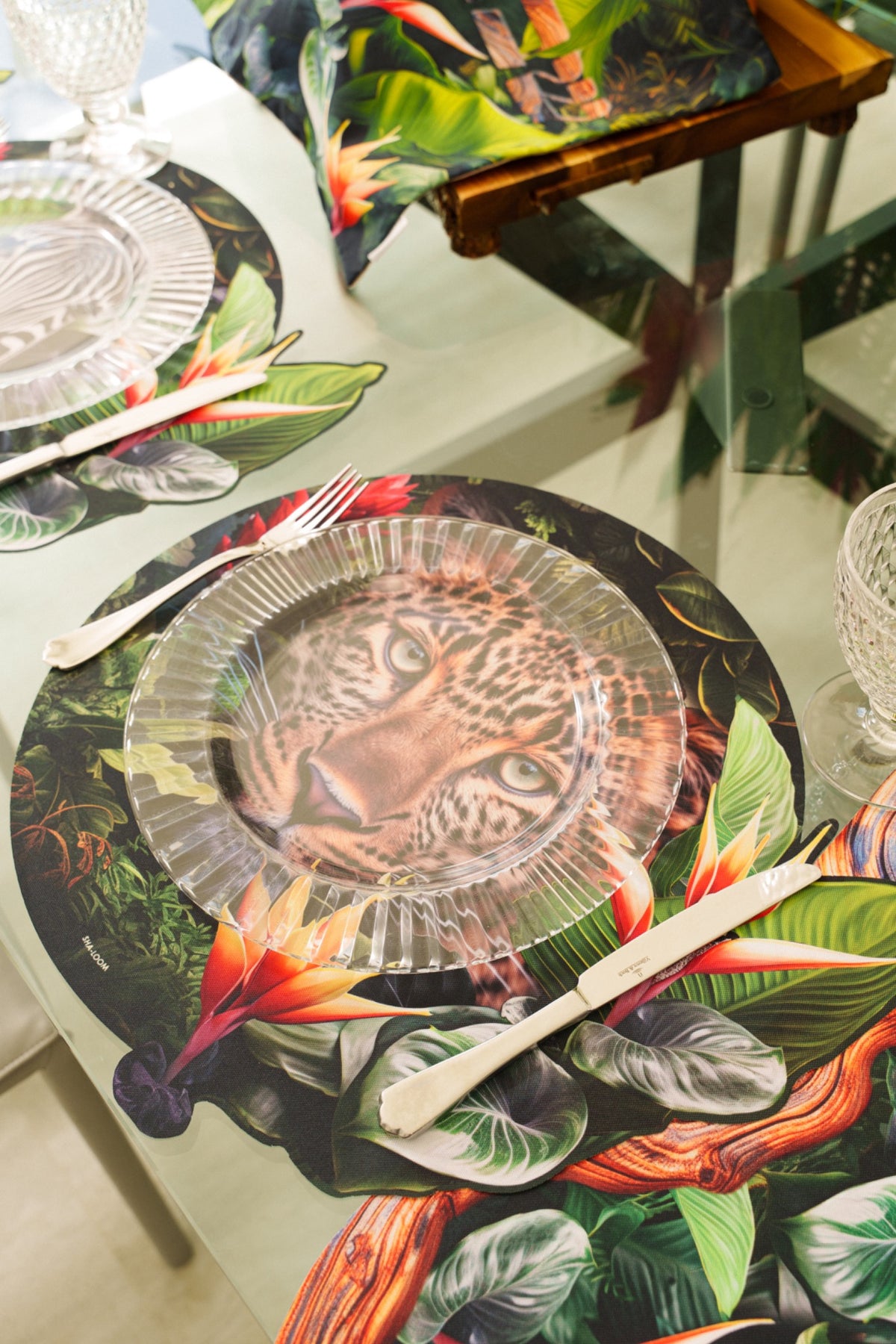 Placemats Set of 6 Wild Tropics