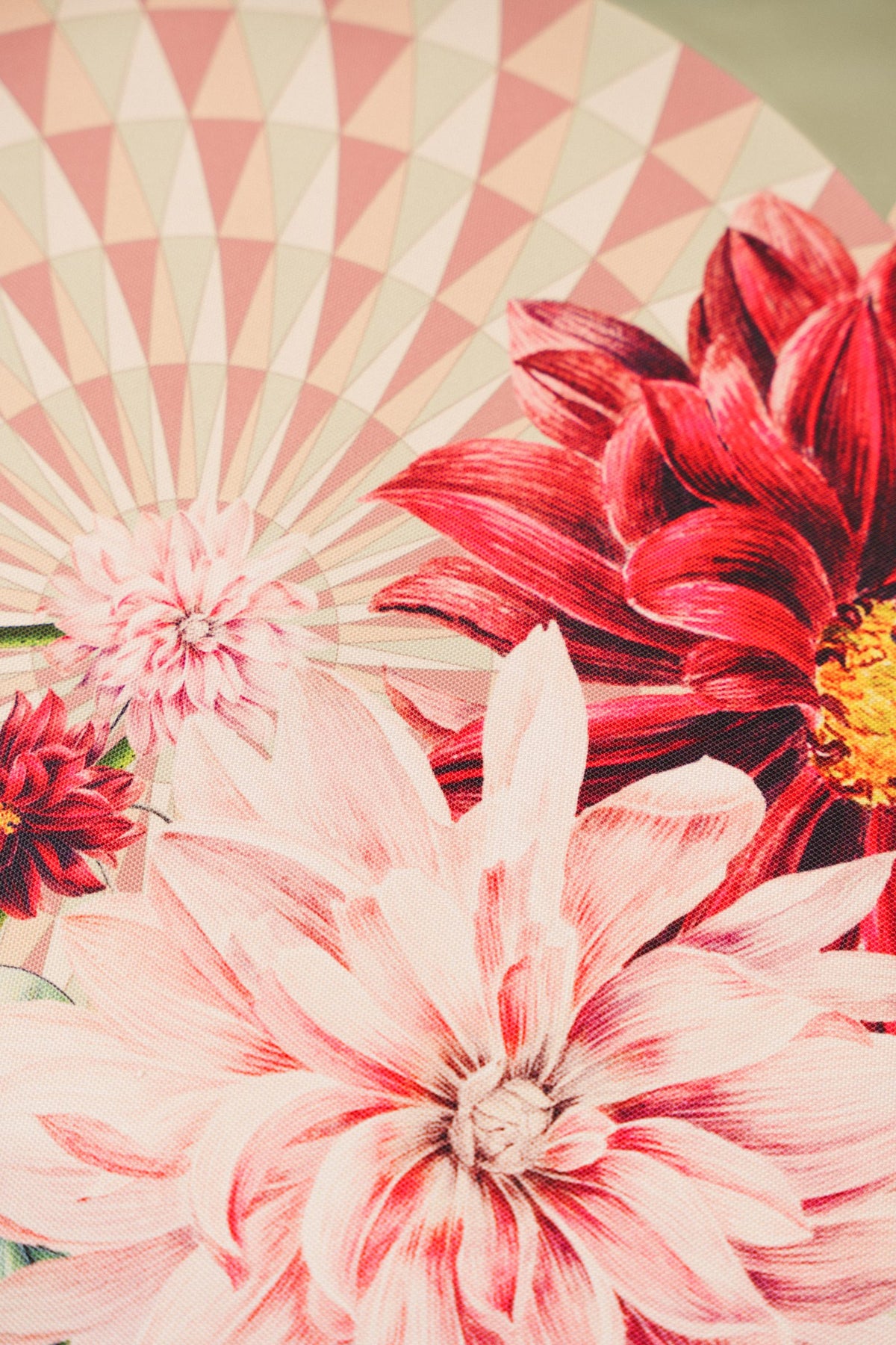 Placemats Set of 6 Tropical Geometry