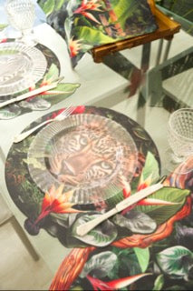 Placemats Set of 6 Wild Tropics