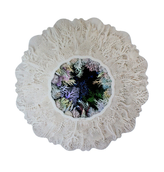 Placemats Set of 6 Coral Bloom